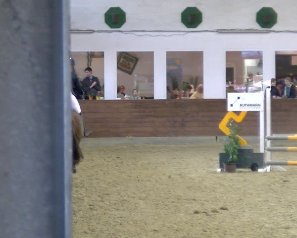 Reitturnier Coesfeld / Lette 2025