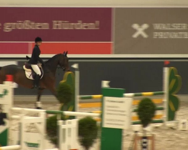 Reitturnier Mönchengladbach-Abtshof 2013