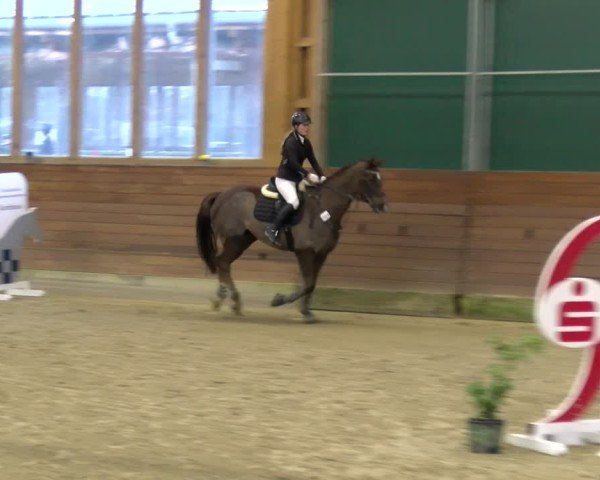 Reitturnier Coesfeld / Lette 2025