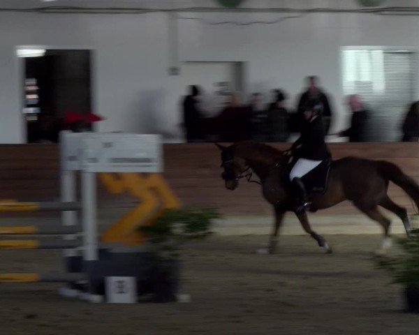 Reitturnier Coesfeld / Lette 2025