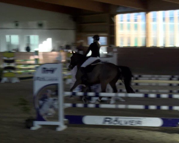 Reitturnier Coesfeld / Lette 2025
