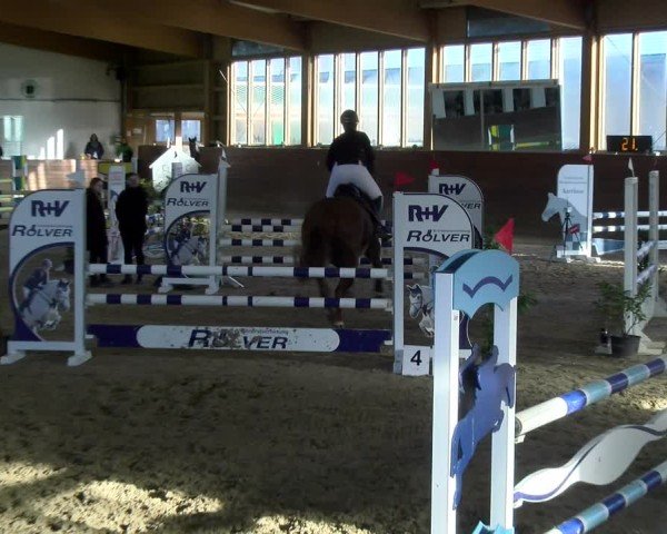 Reitturnier Coesfeld / Lette 2025