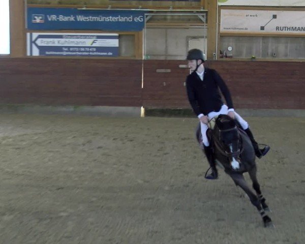 Reitturnier Coesfeld / Lette 2025