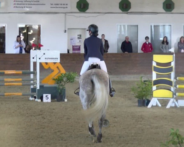 Reitturnier Coesfeld / Lette 2025