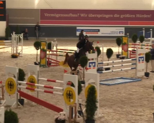 Springturnier auf dem Abtshof 2013