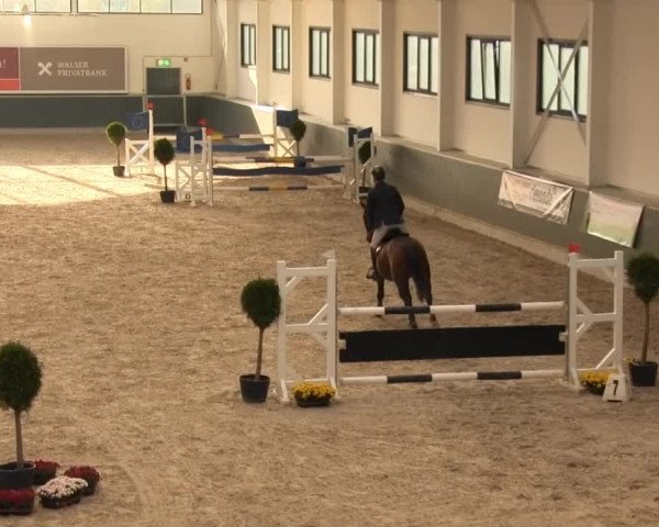 Springturnier auf dem Abtshof 2013