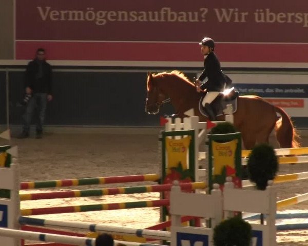 Springturnier auf dem Abtshof 2013