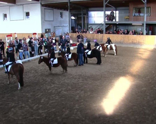 Reitturnier Freudenberg 2025