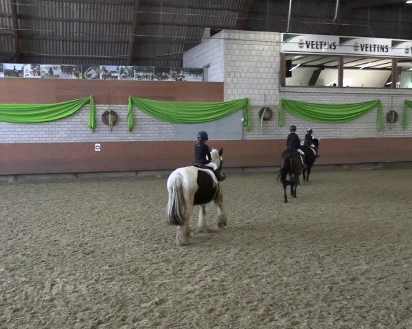 Reitturnier Hellefeld 2025