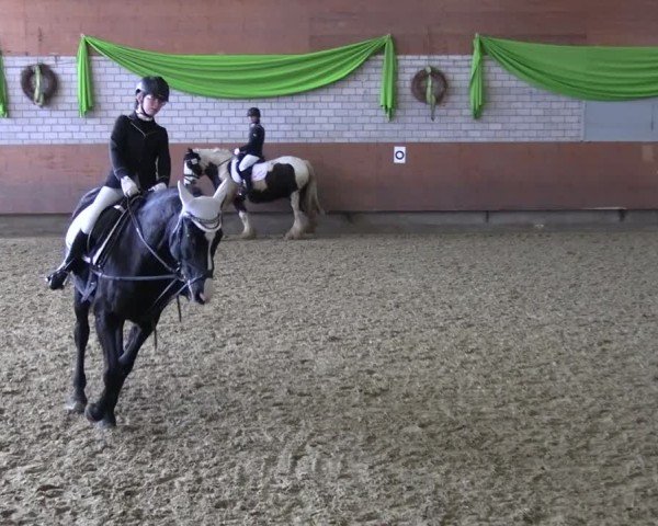 Reitturnier Hellefeld 2025