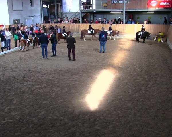 Reitturnier Freudenberg 2025