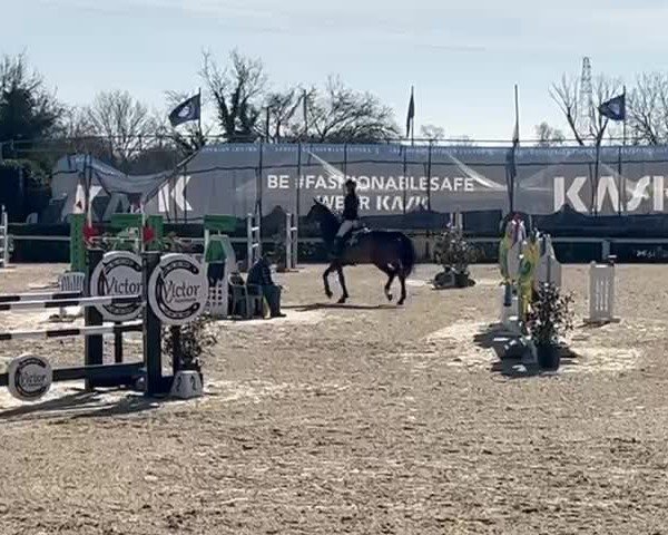 Video de Bali 36