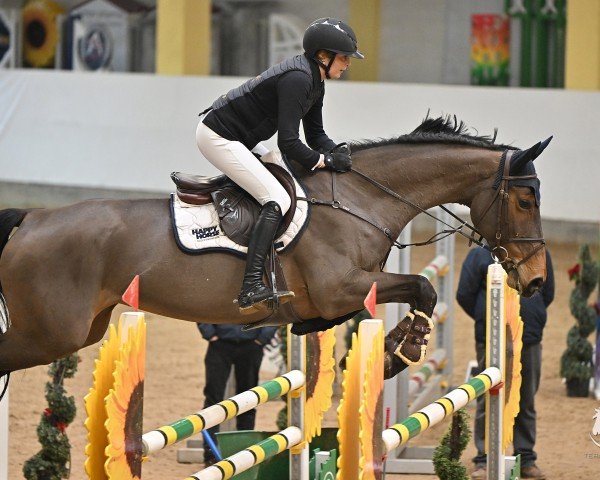 jumper Zhiggy Z (Zangersheide riding horse, 2018, from Zento)