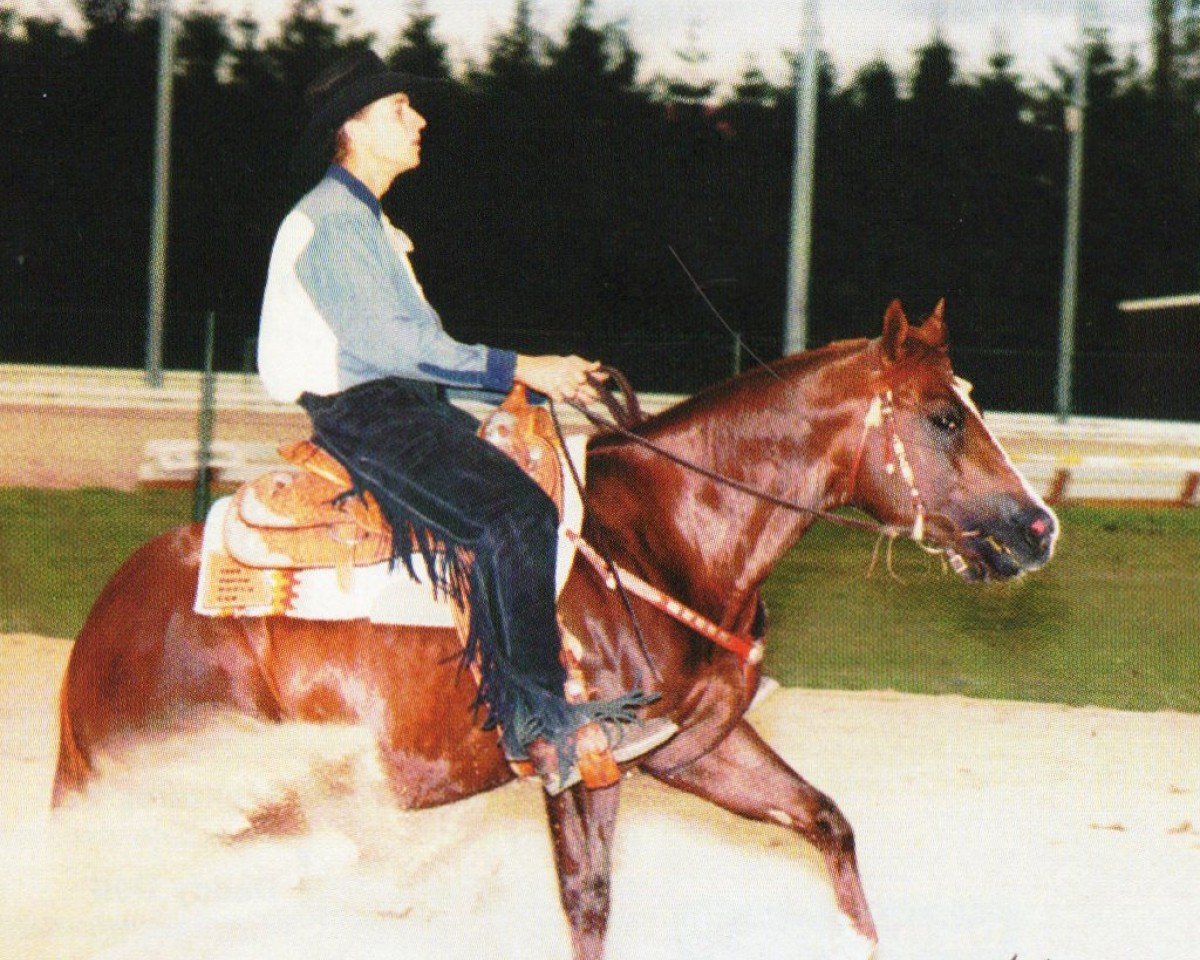 stallion Pablo Quixote (unknown,  )