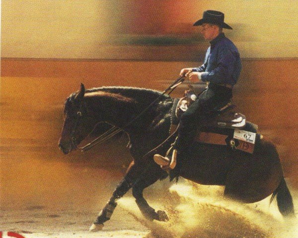 stallion Smartin (Quarter Horse, 1993, from Smart Little Lena)