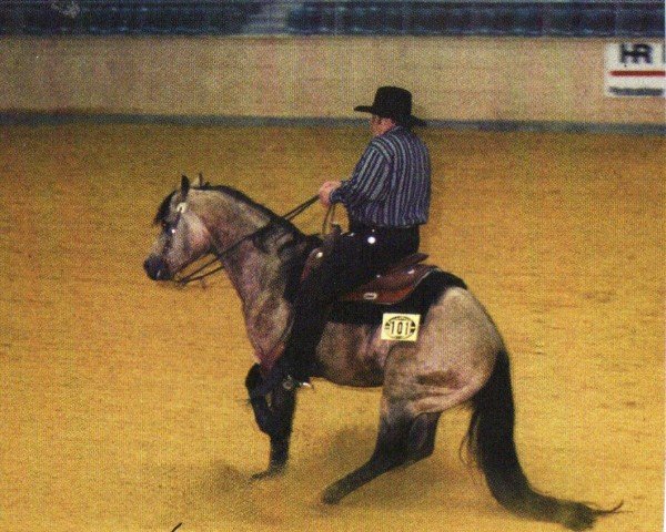 horse IM No Dun it (Quarter Horse, 1990, from Kaliman)