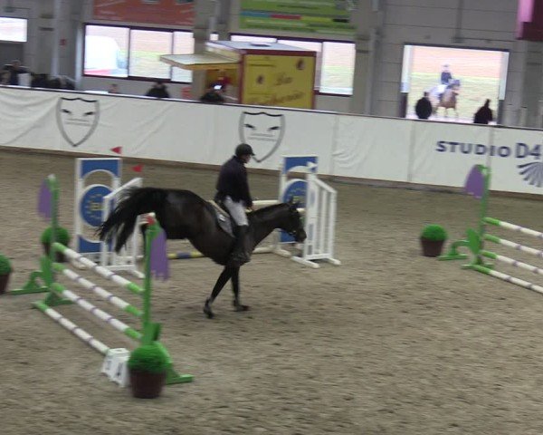 Video of Quite Comtess