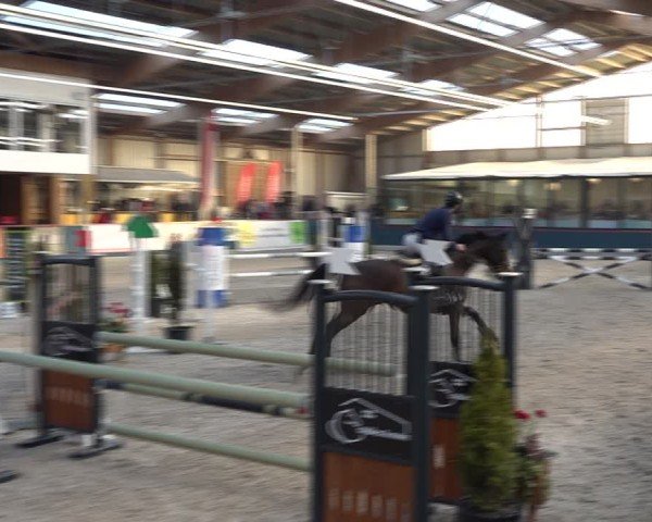 Reitturnier Oberriet 2025