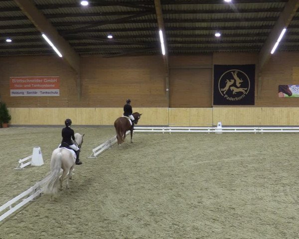 Reitturnier Paderborn 2021