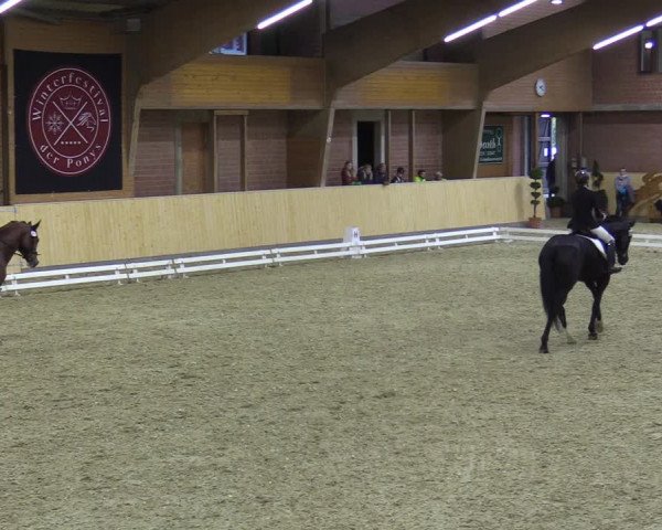 Reitturnier Paderborn 2021