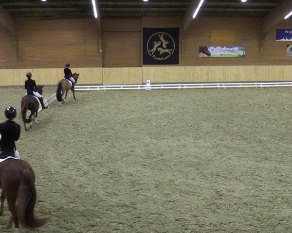 Reitturnier Paderborn 2021