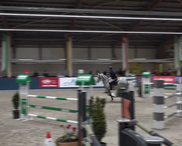 Reitturnier Oberriet 2025