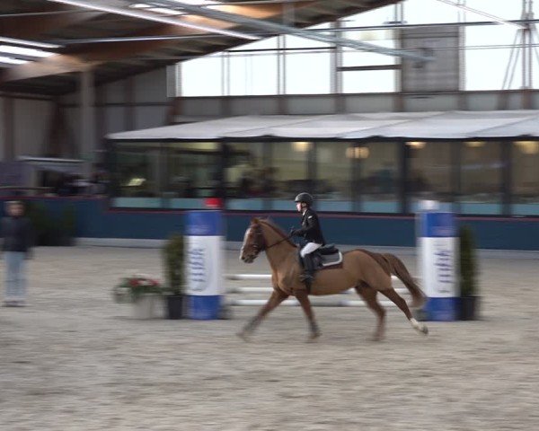 Reitturnier Oberriet 2025