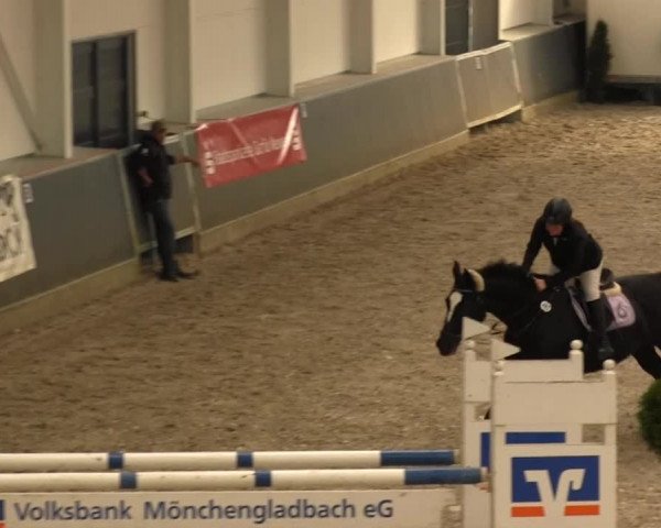 Reitturnier Mönchengladbach-Abtshof 2013