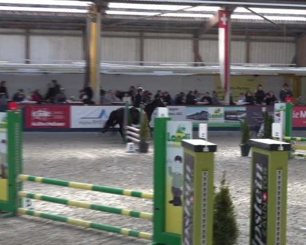 Reitturnier Oberriet 2025