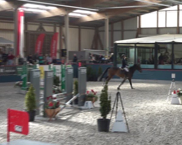 Reitturnier Oberriet 2025