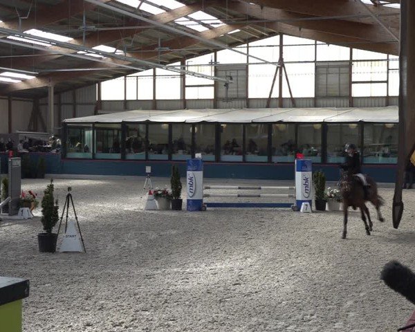 Reitturnier Oberriet 2025