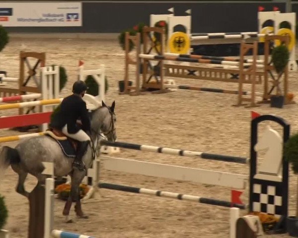 Springturnier auf dem Abtshof 2013