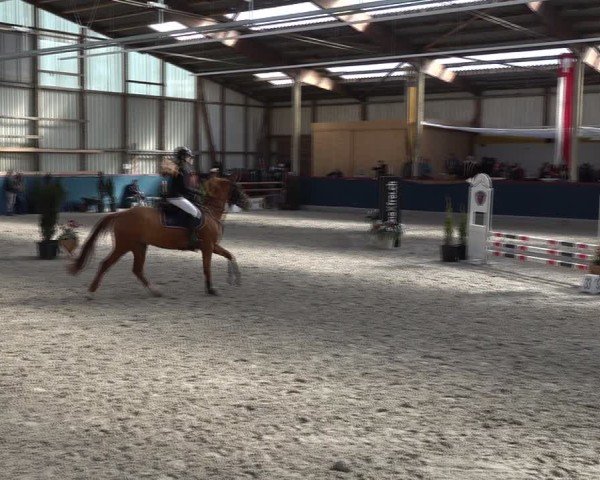 Reitturnier Oberriet 2025