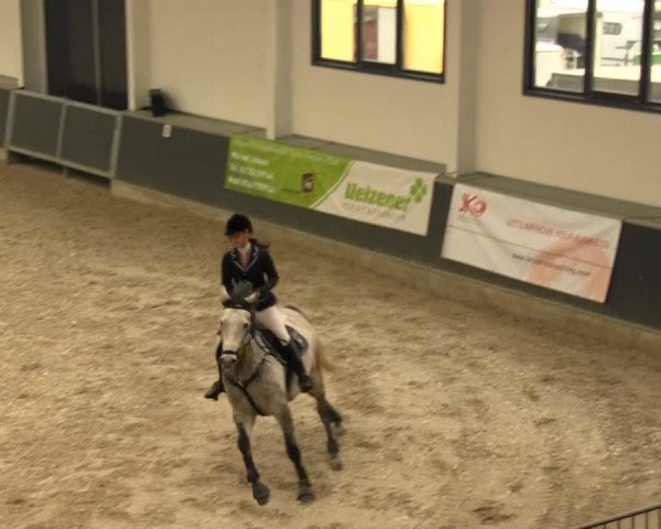 Springturnier auf dem Abtshof 2013