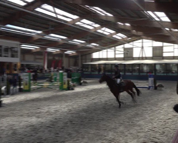 Reitturnier Oberriet 2025