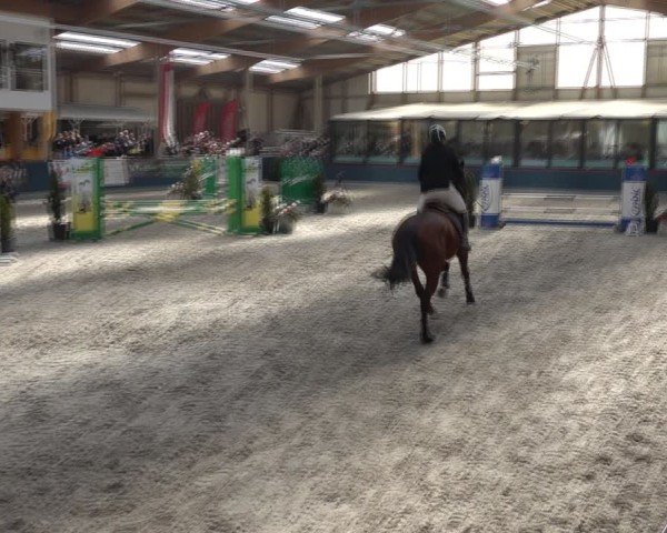 Reitturnier Oberriet 2025