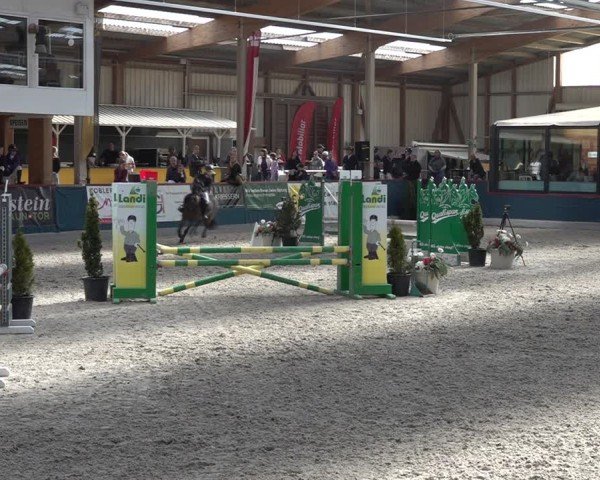 Reitturnier Oberriet 2025