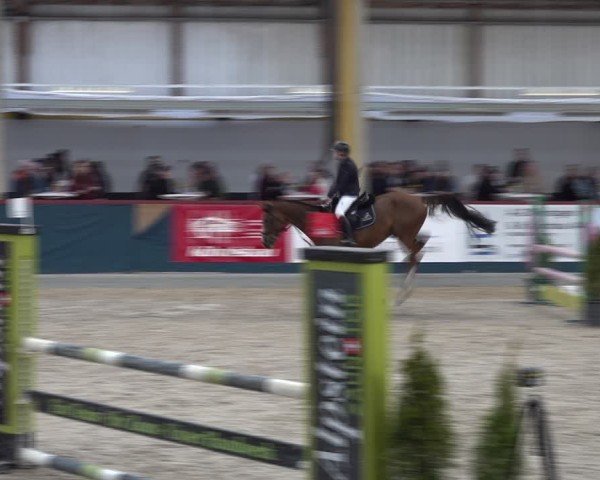 Reitturnier Oberriet 2025
