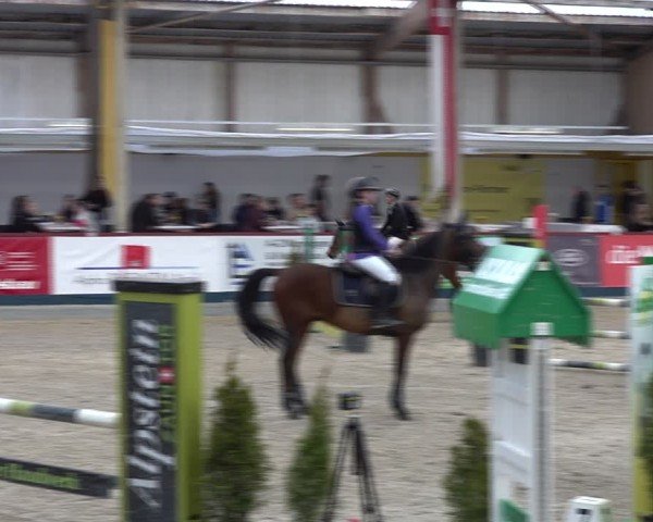 Reitturnier Oberriet 2025