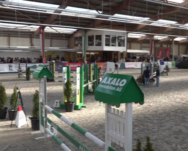 Reitturnier Oberriet 2025