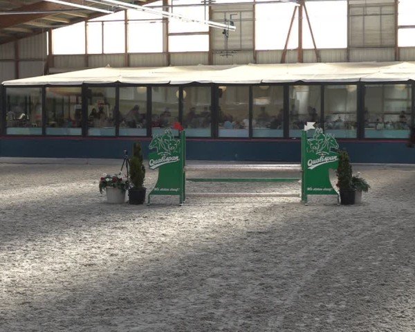 Reitturnier Oberriet 2025