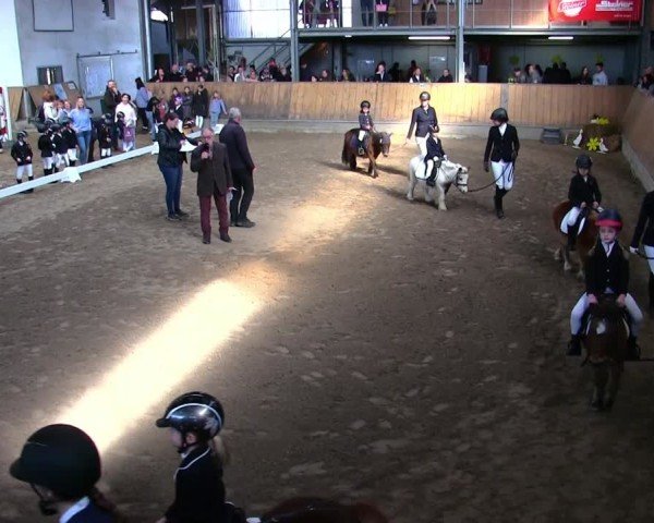 Reitturnier Freudenberg 2025