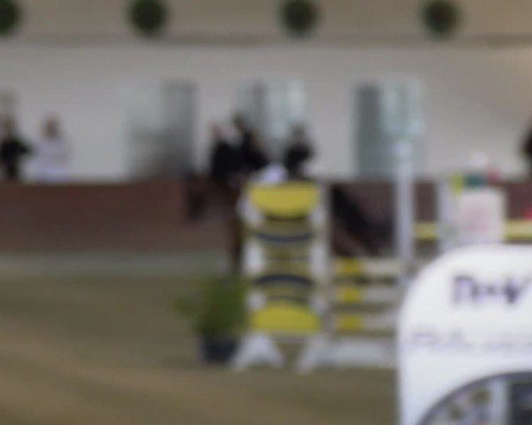 Reitturnier Coesfeld / Lette 2025
