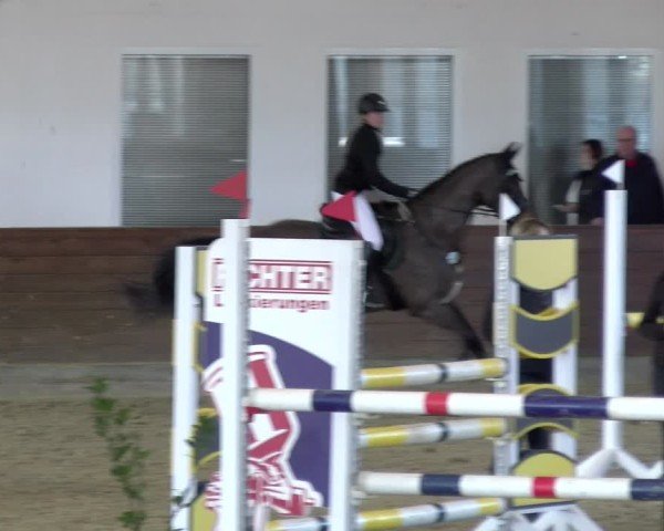 Reitturnier Coesfeld / Lette 2025