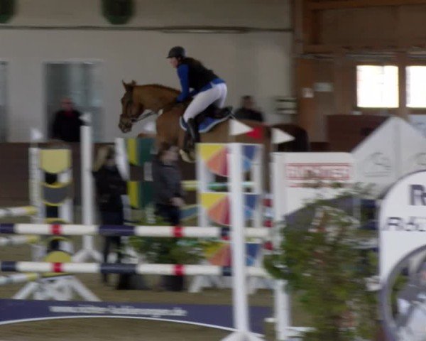 Reitturnier Coesfeld / Lette 2025