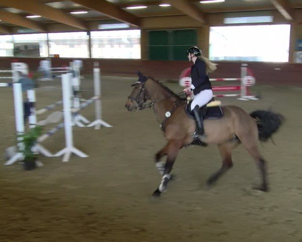 Reitturnier Coesfeld / Lette 2025