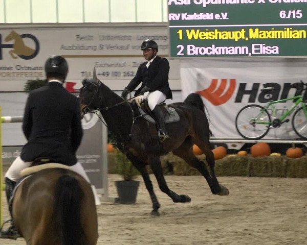 Reitturnier Karlsfeld/Obb. 2021
