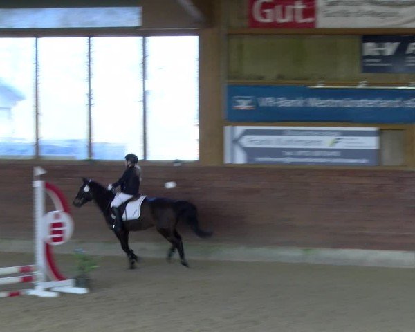 Reitturnier Coesfeld / Lette 2025