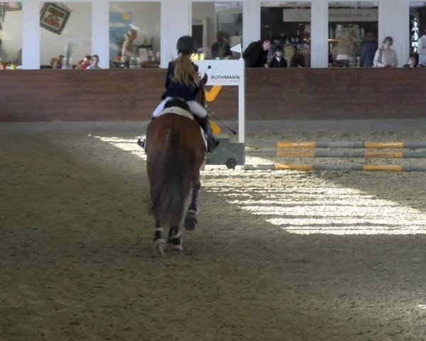 Reitturnier Coesfeld / Lette 2025