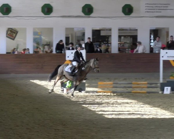 Reitturnier Coesfeld / Lette 2025